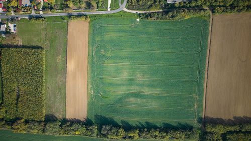 77473 Landwirtschaftliches Grundstück mit Baumöglichkeit in ruhiger Lage in Nemesbük zu verkaufen