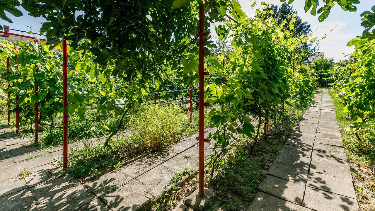 Ungarn Immobilien
