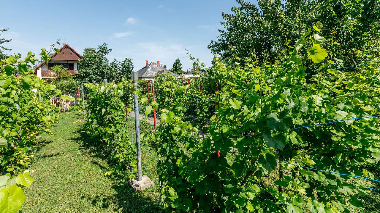 Ungarn Immobilien