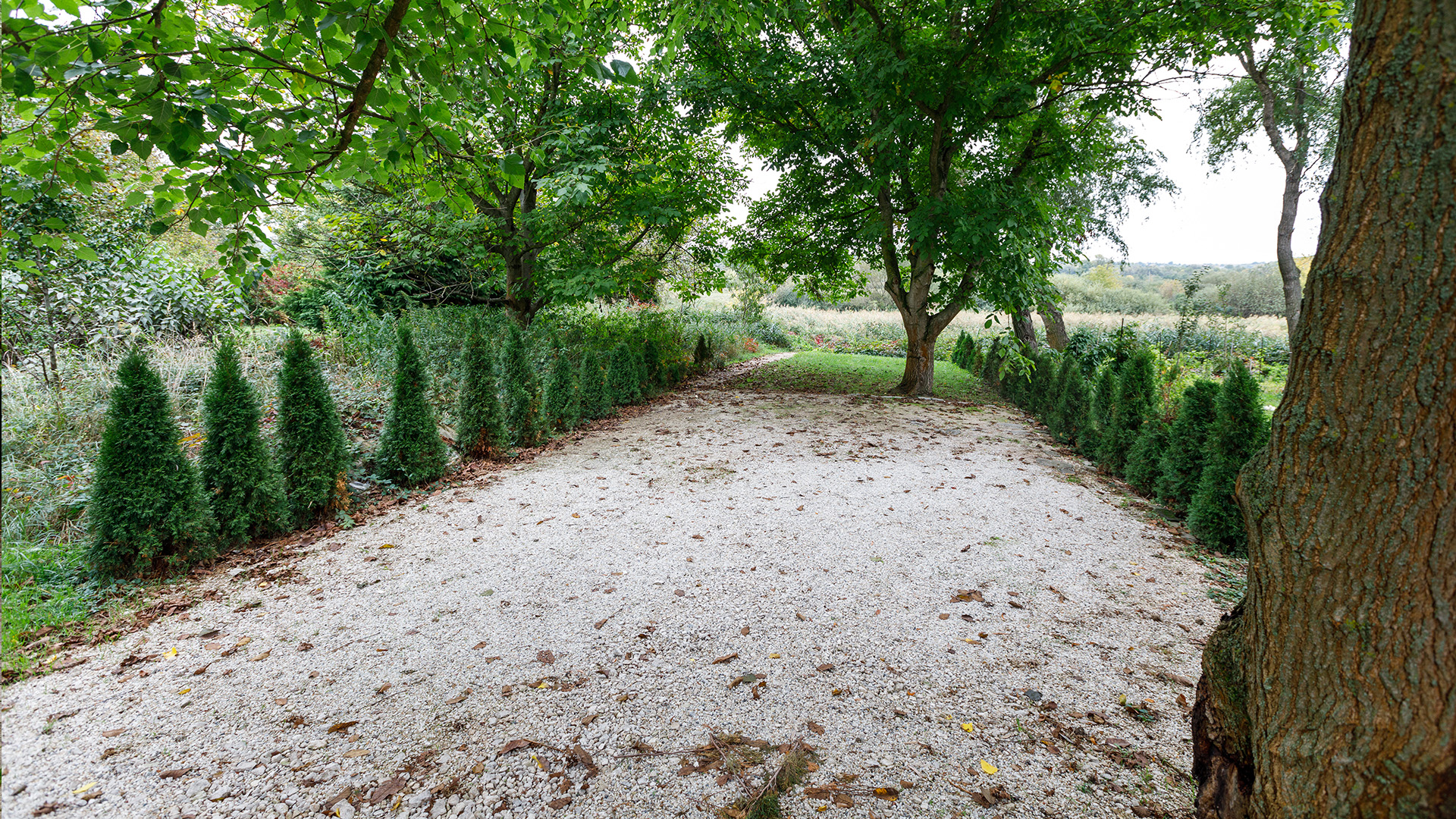 Ungarn Immobilien