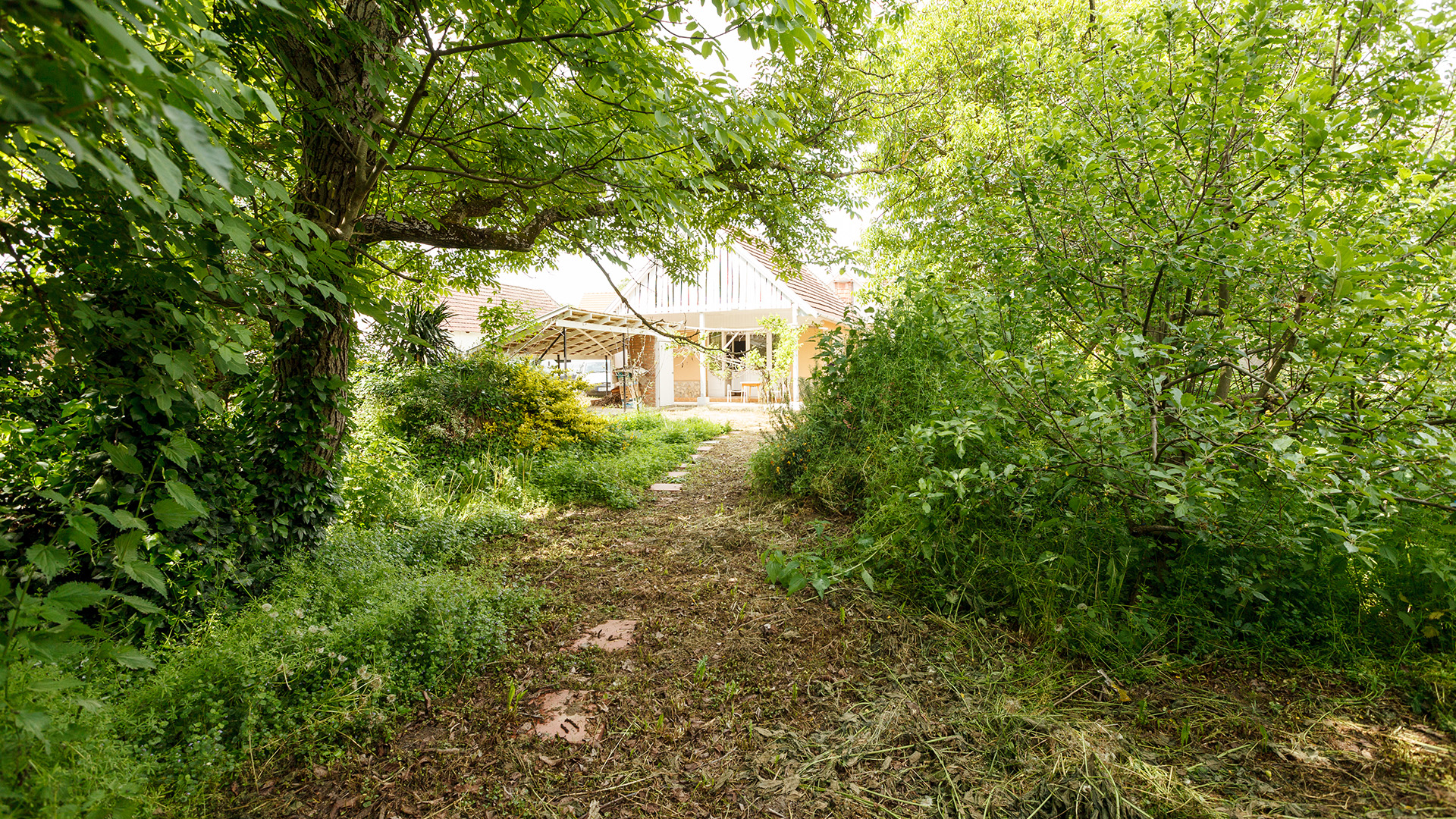 Ungarn Immobilien