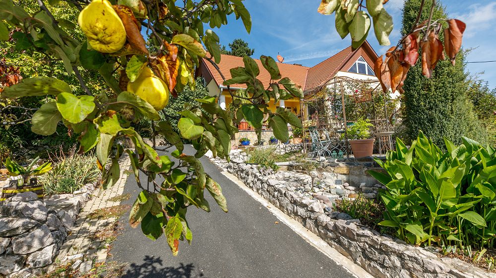 Ungarn Immobilien