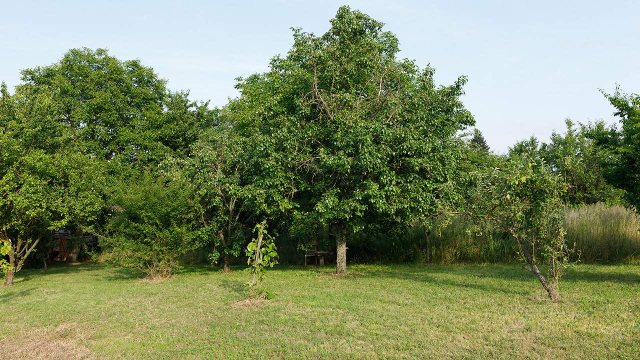 Ungarn Immobilien