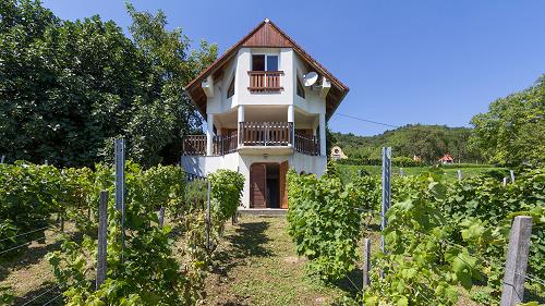 33605 House on Lake Balaton in the vineyard with a fantastic panoramic view across the lake