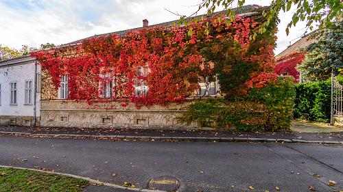 33658 Dieses Familienhaus im Zentrum von Keszthely kann eine Investitionsmöglichkeit bieten und sogar als Pension betrieben werden. Der Molo von Keszthely ist in einer Viertelstunde zu Fuß erreichbar.