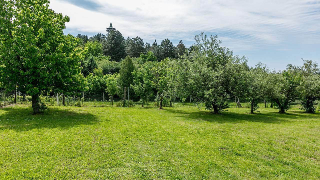 Ungarn Immobilien