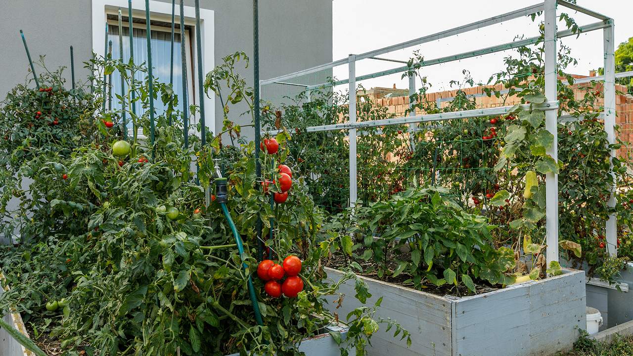 Ungarn Immobilien