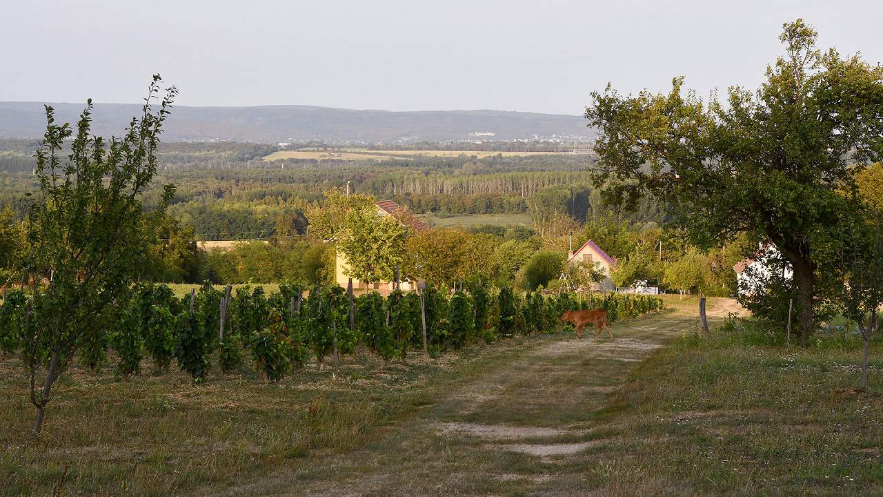 Ungarn Immobilien
