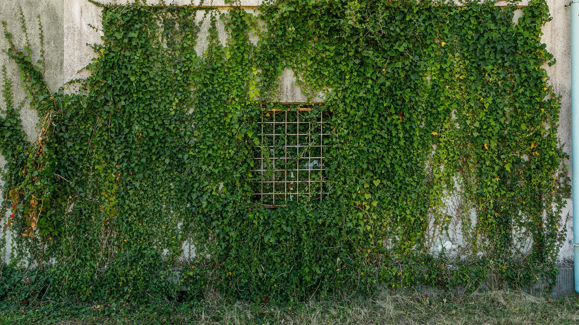 Ungarn Immobilien