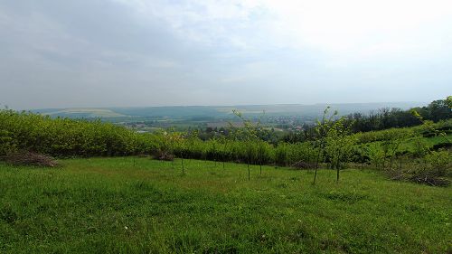 77212 Construction plot with ever-panoramic view to the colf court and Thermal bath is for sale in Zalacsány, at the Zala-Valley mountains.