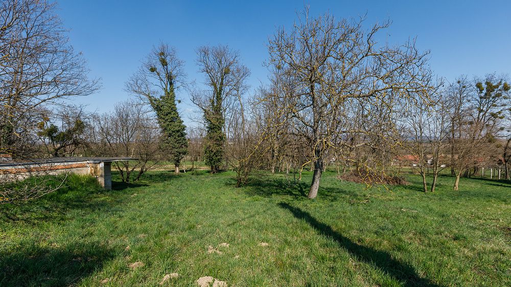 Ungarn Immobilien