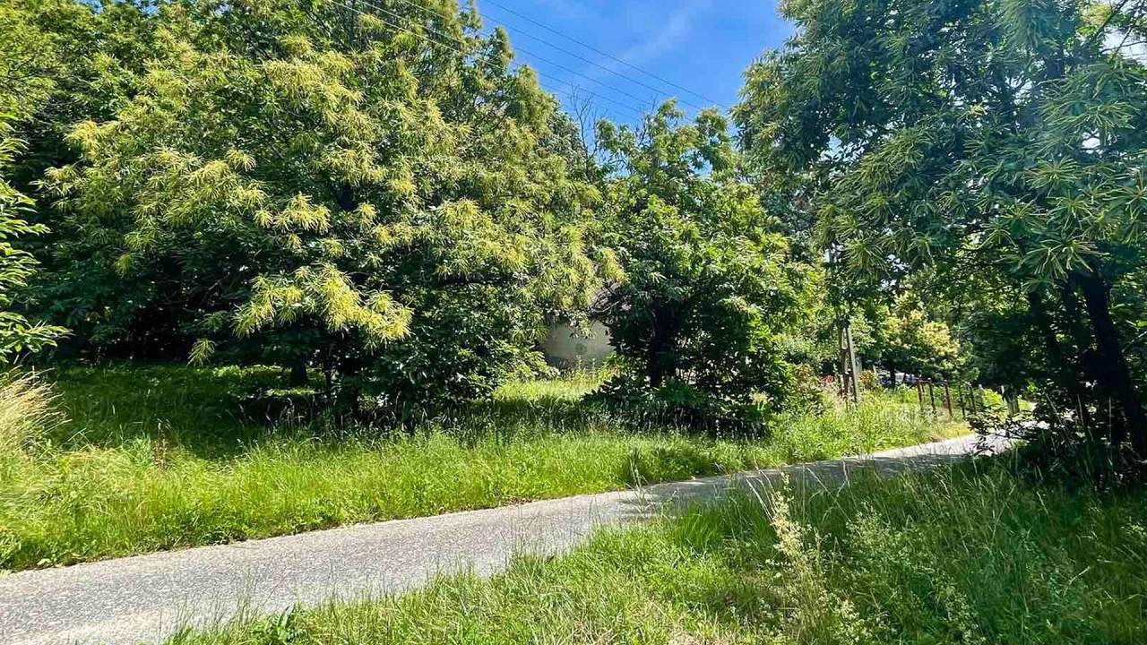 Ungarn Immobilien