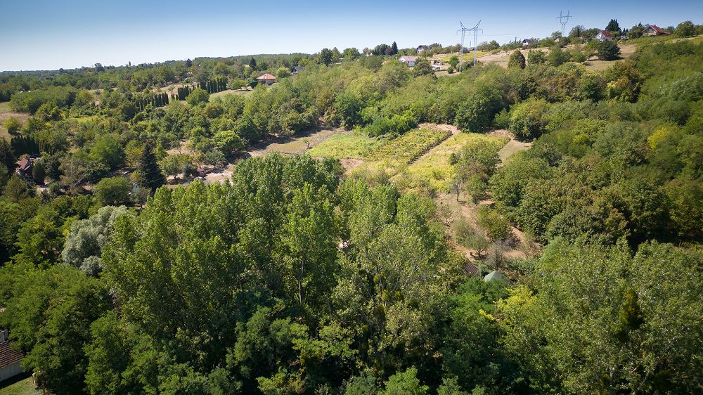 Ungarn Immobilien