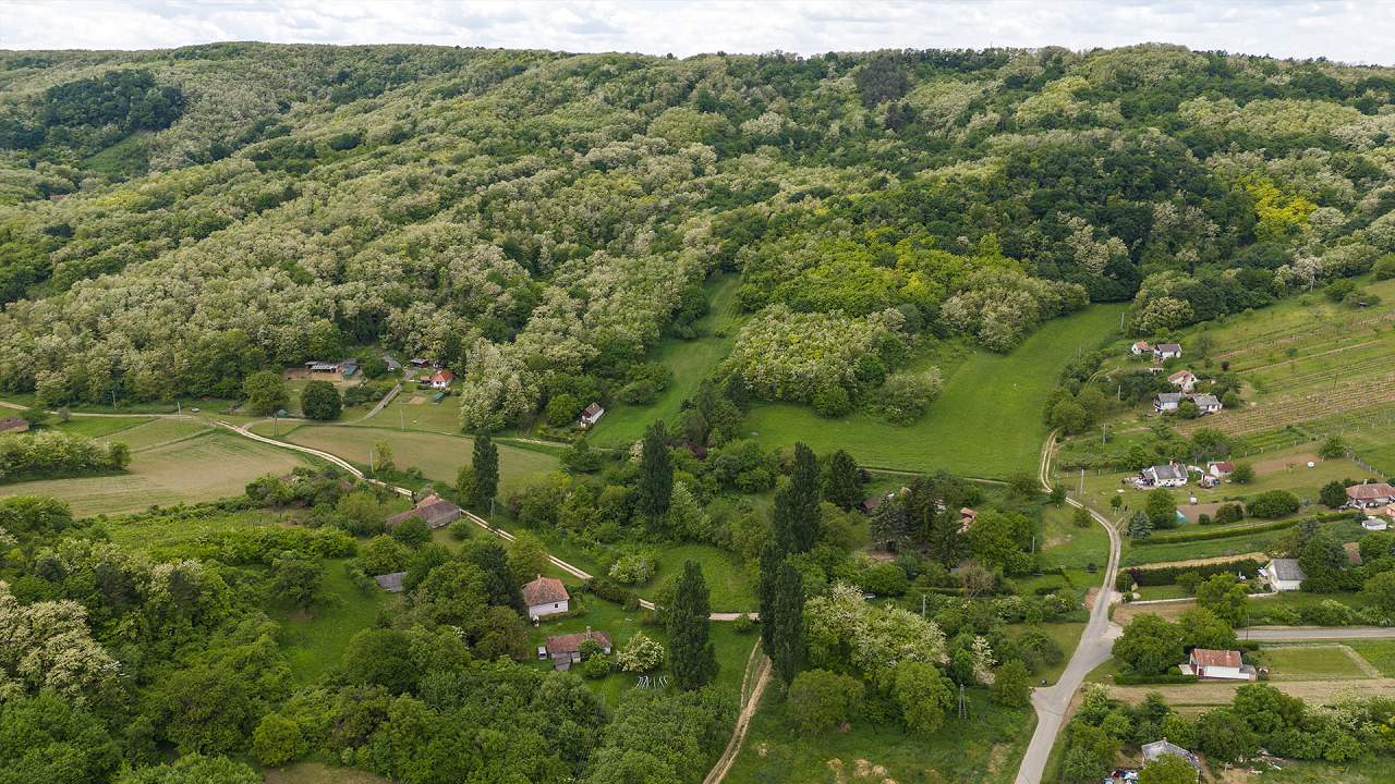 Ungarn Immobilien