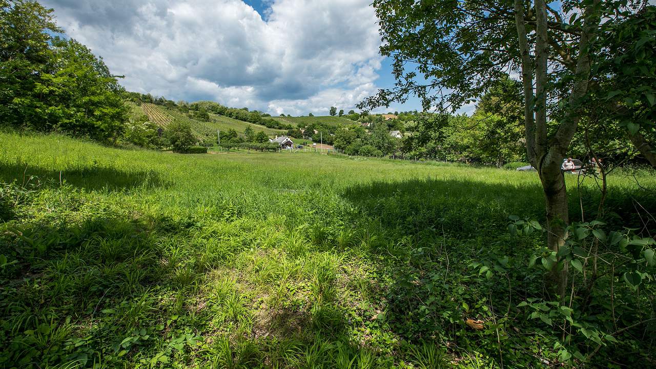 Ungarn Immobilien