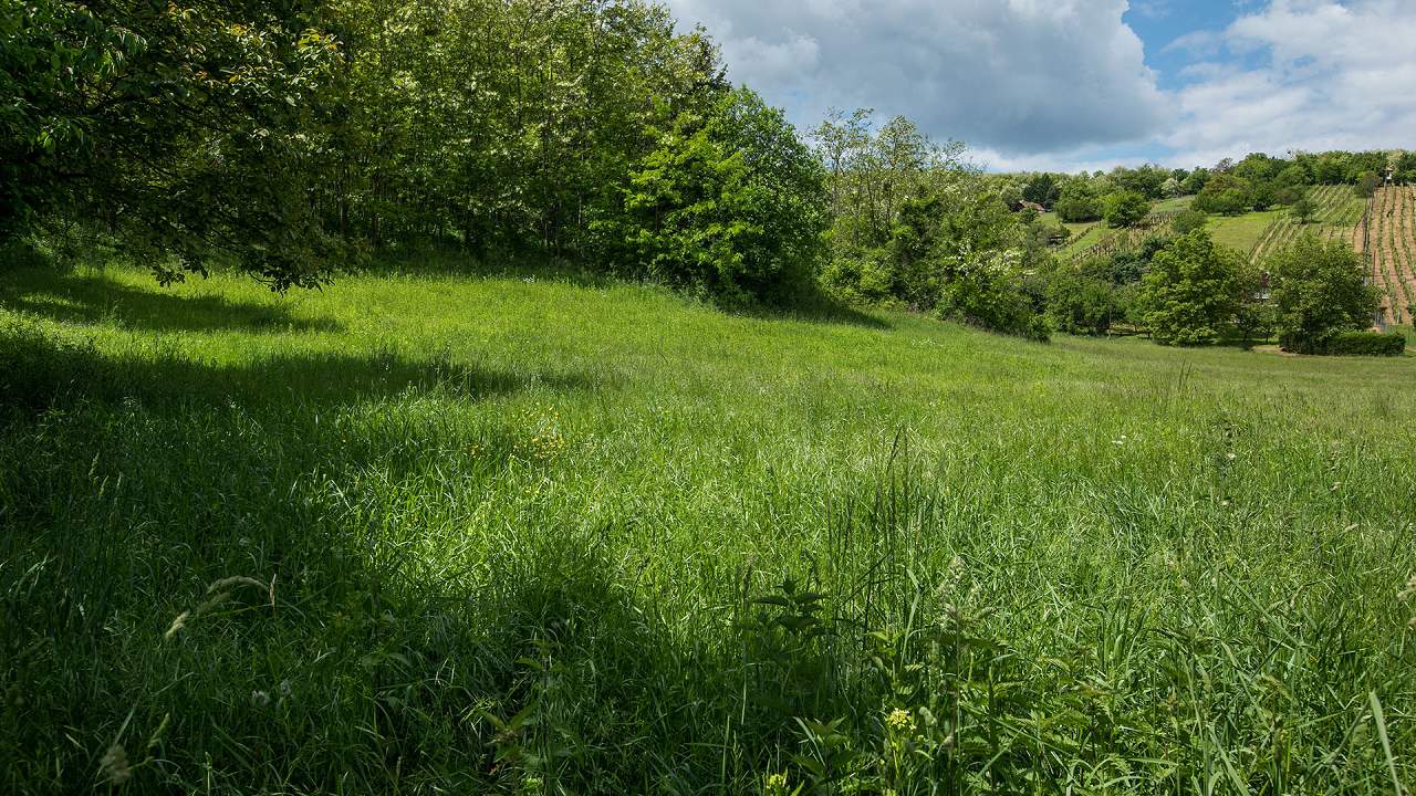 Ungarn Immobilien