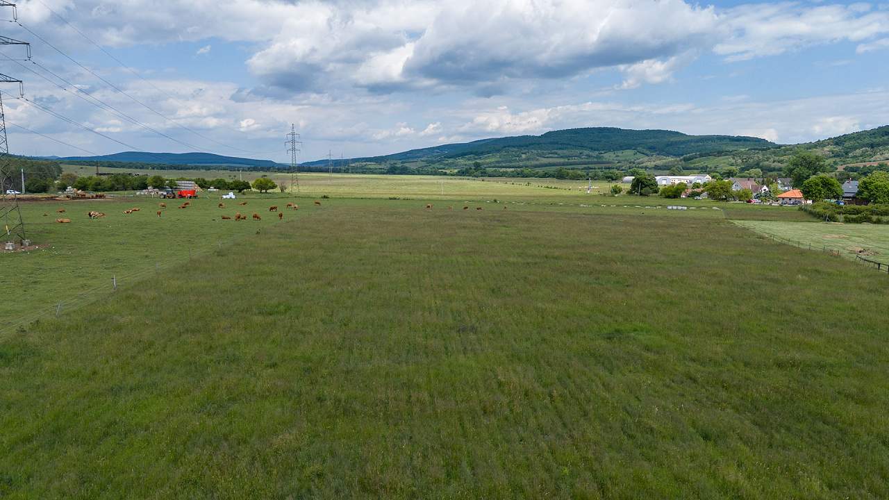 Ungarn Immobilien