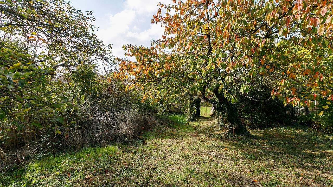 Ungarn Immobilien